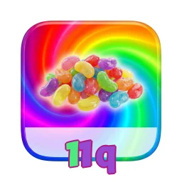 11q