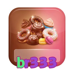 br333